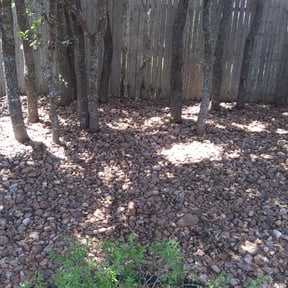 Flower Bed Weeding by Jim's Lawn Service reviewed on August 19, 2025