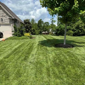 yard care by Yeti Yards reviewed on August 15, 2025