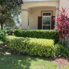 Bush Trimming by Snell mowing reviewed on August 18, 2025