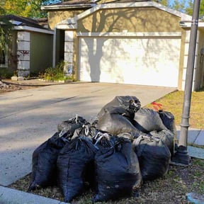 Leaf Removal by Felton Roberson landscaping reviewed on September 21, 2025