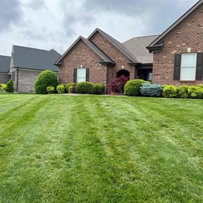 yard maintenance by Cumulus Enterprises LLC reviewed on August 19, 2025