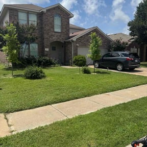 lawn service by Michael Warren reviewed on August 19, 2025