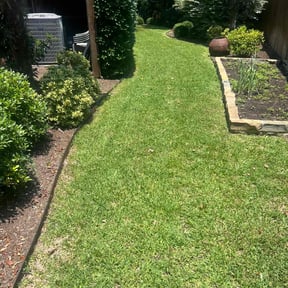 yard service by Allen Investments reviewed on August 20, 2025