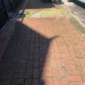 Bush Trimming by Sifu Lawn and Services reviewed on August 21, 2025