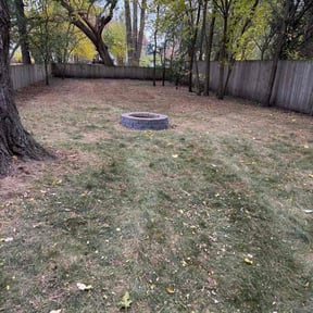 Leaf Removal by Orpez Handy Man reviewed on November 5, 2025