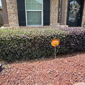 Bush Trimming by Caesar’s Premier Landscaping reviewed on August 15, 2025