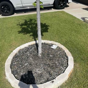 Flower Bed Weeding by Arthuroavila reviewed on June 26, 2026