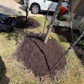 Mulching by Speedfactor reviewed on September 16, 2026