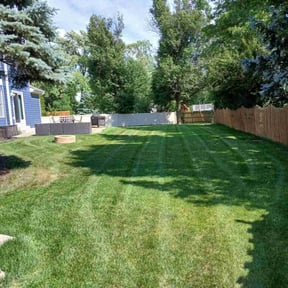 yard maintenance by HPS Lawn Care reviewed on August 21, 2025