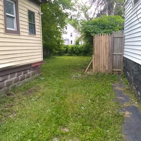 Bush Trimming by RJ's Lawn Care reviewed on August 16, 2025