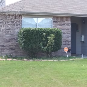 Bush Trimming by Jj's services reviewed on August 16, 2025