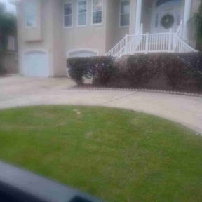 Bush Trimming by Green Missions Landscaping LLC reviewed on August 16, 2025