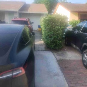 Bush Trimming by Integrity Lawn Care reviewed on August 17, 2025