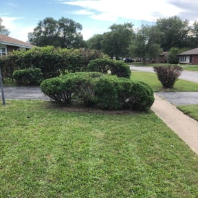 Bush Trimming by The lawn Guy reviewed on August 15, 2025