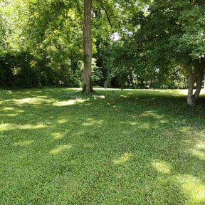 landscaping services by Murphy's Lawn Service reviewed on August 18, 2025