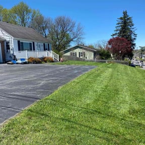 turf care by Harvey Handy & Lawn reviewed on May 25, 2025