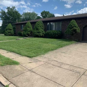 Bush Trimming by Knox Vegas Lawn Service reviewed on August 19, 2025