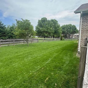 landscape maintenance by WashWorldMobile reviewed on August 19, 2025