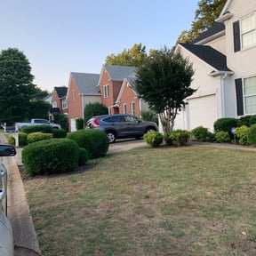 Bush Trimming by Glm landscaping reviewed on August 21, 2025