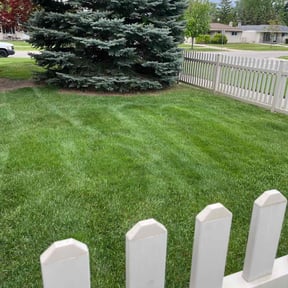 turf maintenance by JPS Lawn Care Services reviewed on September 18, 2025