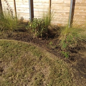 Flower Bed Weeding by Green Is Growth reviewed on August 19, 2025