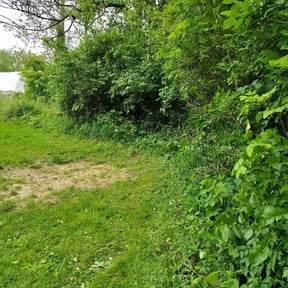 Bush Trimming by Midwest Mowing reviewed on May 18, 2026