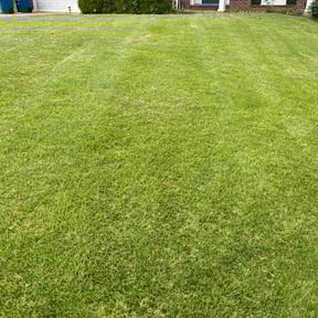 lawn maintenance by Marvin's Services LLC reviewed on April 23, 2024