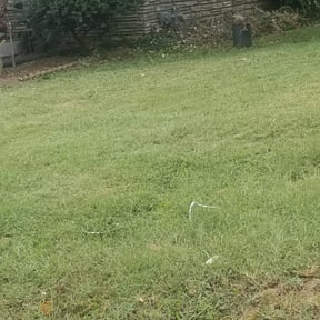 Bush Trimming by Redline Property Maintenance (RPM) reviewed on August 21, 2025
