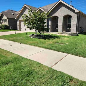 yard maintenance by Marvelouscutzllc reviewed on September 18, 2025