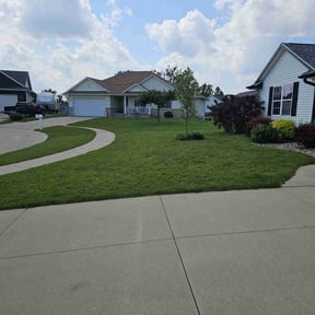 yard maintenance by lee got u reviewed on August 16, 2025