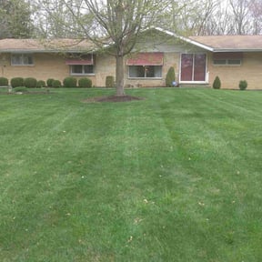 landscaping by Cary's Landscaping and Snow Removal reviewed on August 20, 2025
