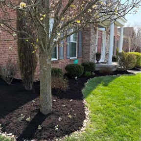 Mulching by Supreme Green conserves reviewed on April 29, 2026