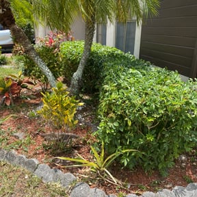 Bush Trimming by Precision Lawn Care reviewed on August 19, 2025
