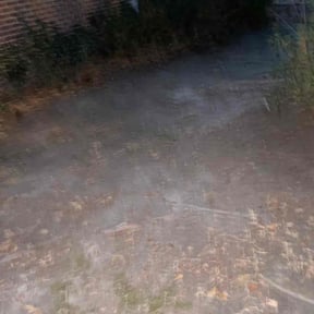 Leaf Removal by Type A Lawn Guy reviewed on January 24, 2026