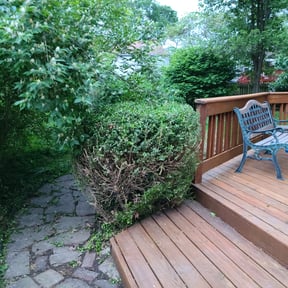 Bush Trimming by R&M lawncare reviewed on August 19, 2025