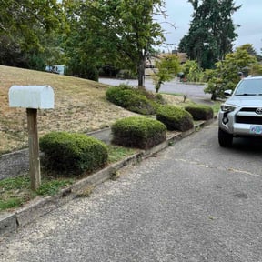 Bush Trimming by McGuire Lawn &amp; Leaf reviewed on October 19, 2025