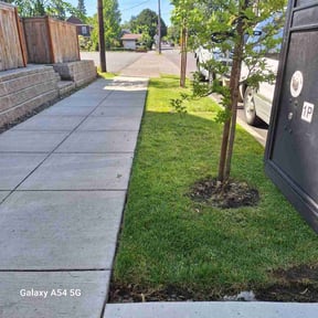 yard care by Hillscapes reviewed on August 16, 2025