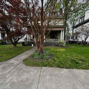 yard maintenance by GetMore services reviewed on August 20, 2025