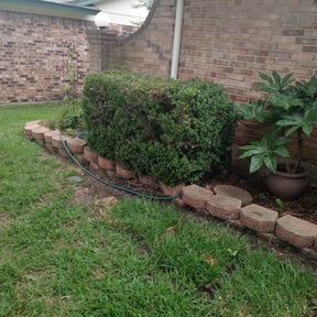 Bush Trimming by Dakotas Lawncare reviewed on August 15, 2025