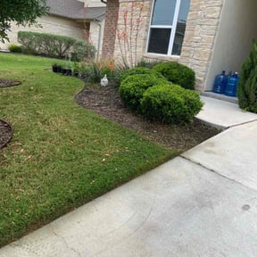 Bush Trimming by Carrolls landscaping and snow removal reviewed on August 17, 2025