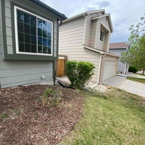 Bush Trimming by Phillip Landscape reviewed on August 18, 2025