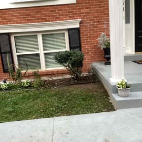 Bush Trimming by Elkhorn Lawn care reviewed on August 16, 2025