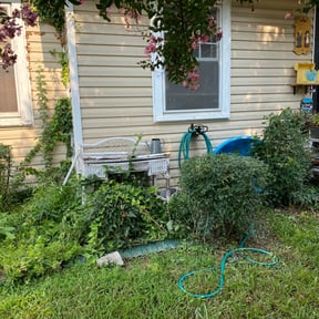 Bush Trimming by B&W Lawncare LLC. reviewed on August 15, 2025