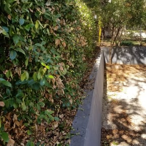 Bush Trimming by Diego Mojica Lawn Care reviewed on August 16, 2025