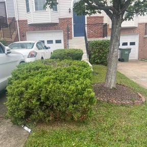 Bush Trimming by BJ'S Lawn Service reviewed on February 2, 2026