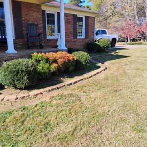 Bush Trimming by Woods lawn care reviewed on November 24, 2025