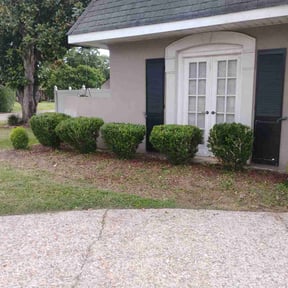 Bush Trimming by DC Lawncare & Design, LLC reviewed on August 15, 2025