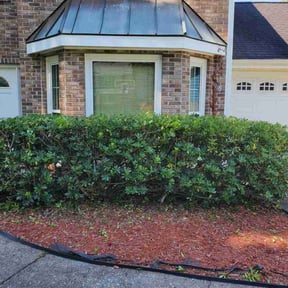 Bush Trimming by Paul Landis Dba Pro Turf Landscape and Lawn care reviewed on August 20, 2025