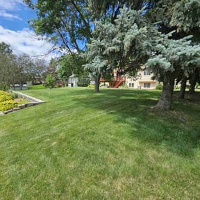 gardening service by Daniel campos reviewed on January 30, 2024