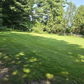 landscaping services by Imperial Lawn care and landscaping reviewed on August 15, 2025